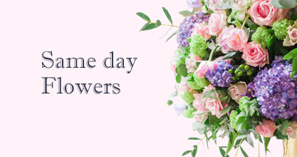 Same day Flowers Bow