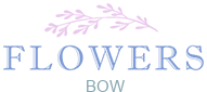 flowersbow.co.uk